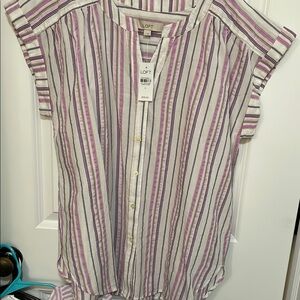 LOFT Women's Striped Top - Purple and White